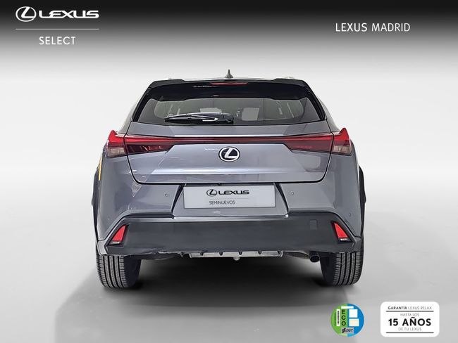 Foto del LEXUS UX 250h Business 4WD