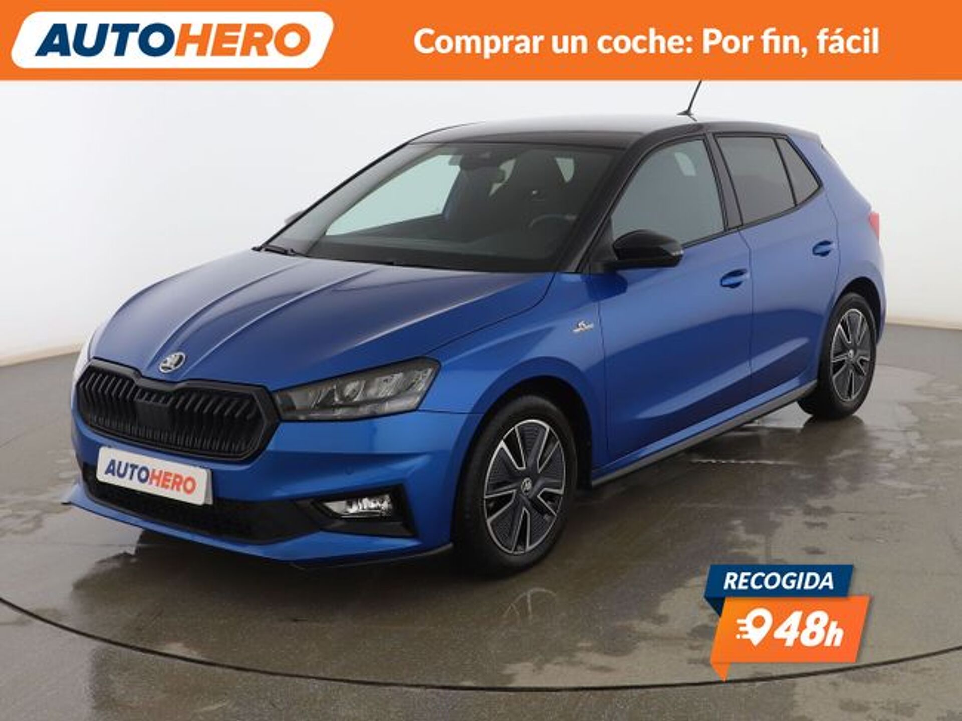 Imagen 1 de SKODA Fabia