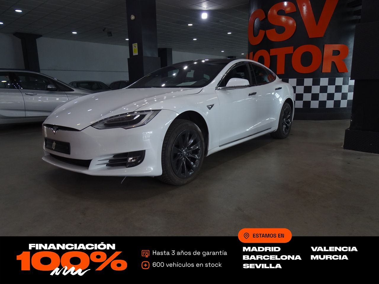 TESLA Model X Performance AWD