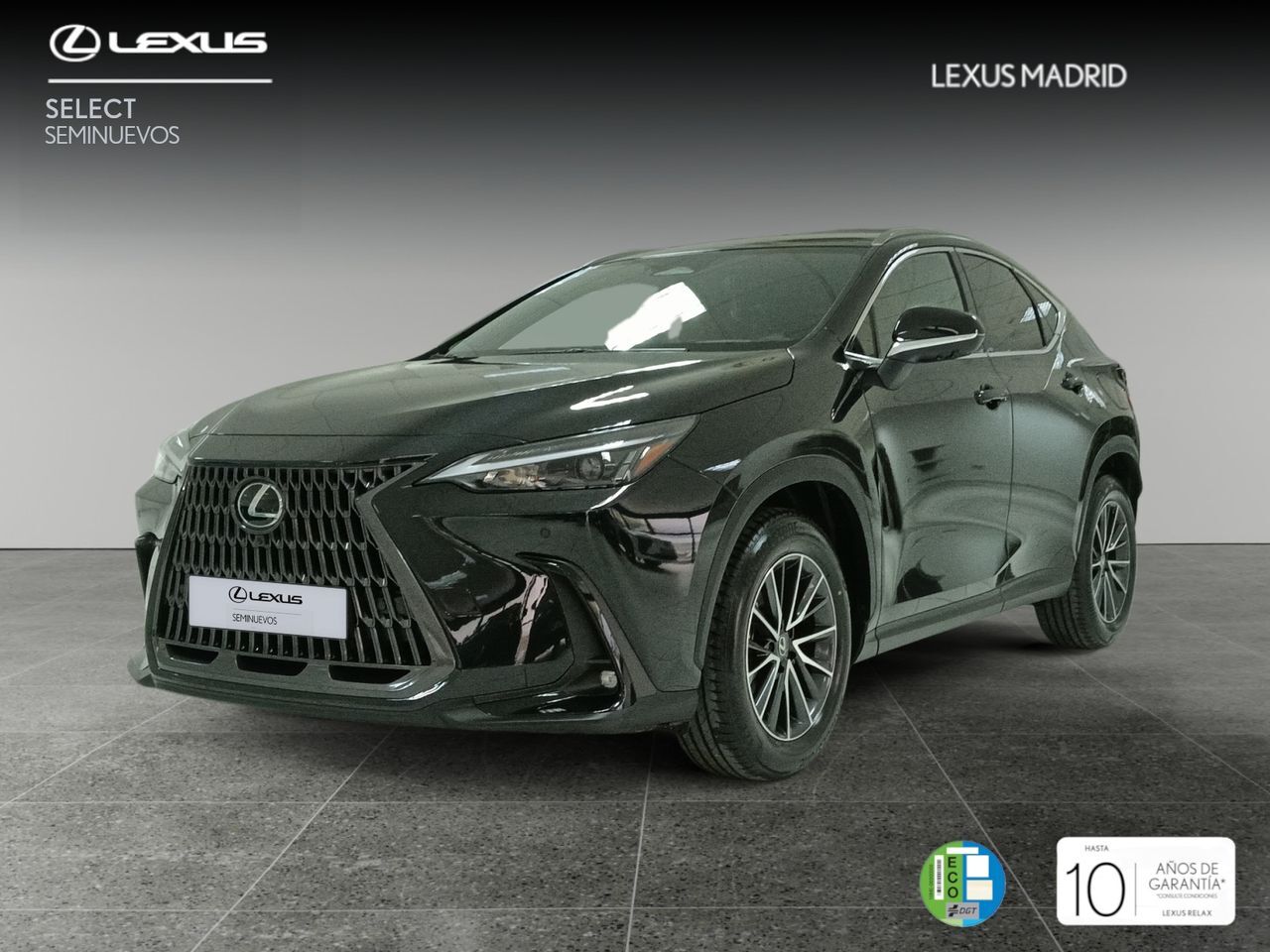 LEXUS NX (350h Executive 4WD) en Madrid