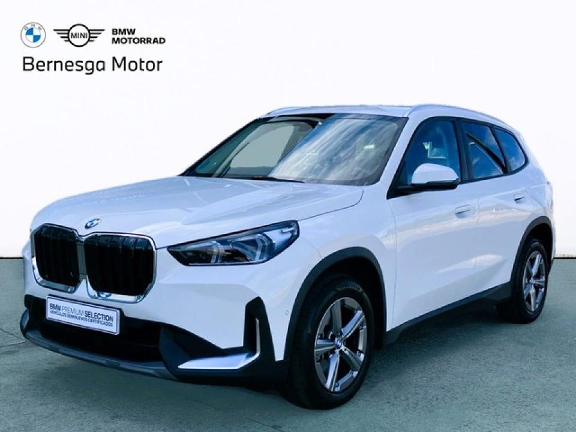 Imagen de BMW X1