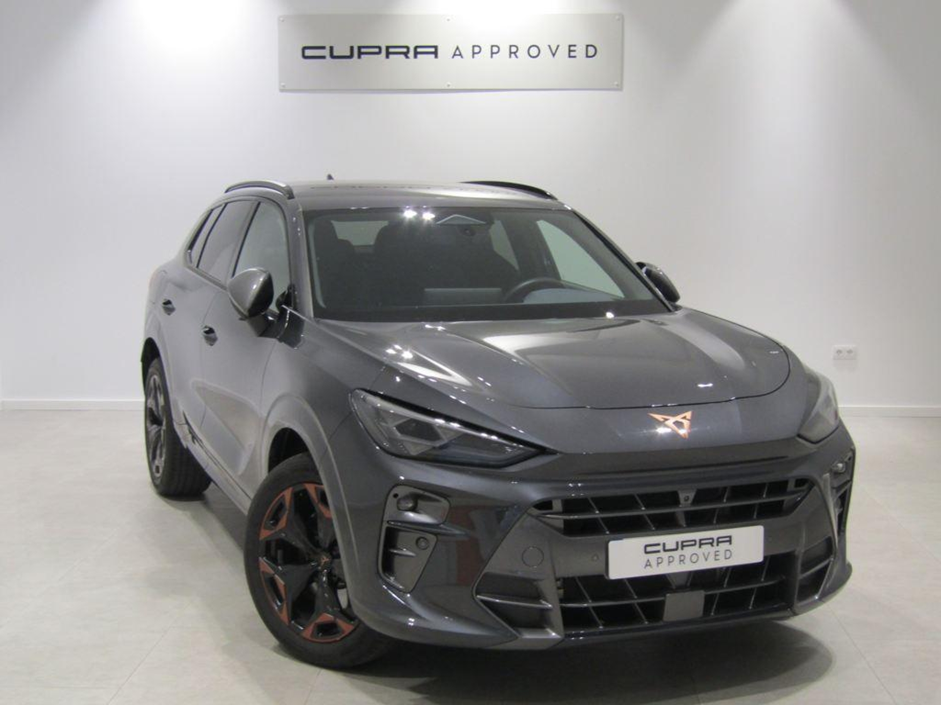 Imagen de CUPRA Terramar