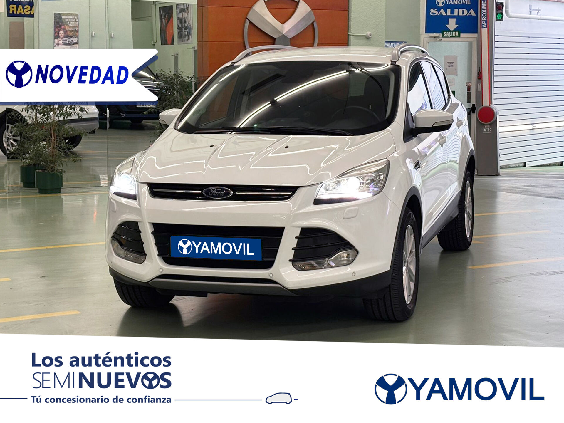 Imagen de FORD Kuga