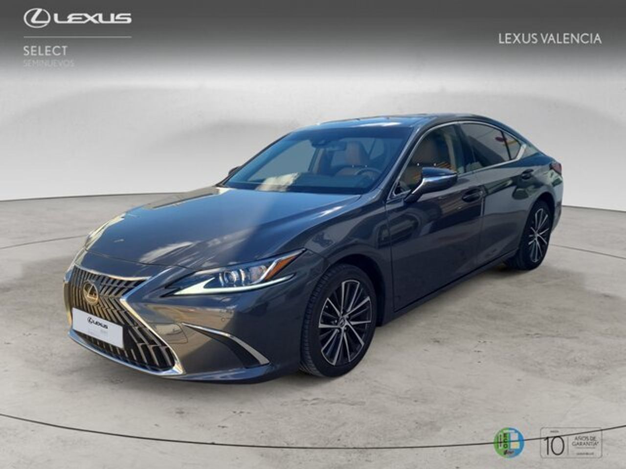 LEXUS ES (300h Premium) en Valencia