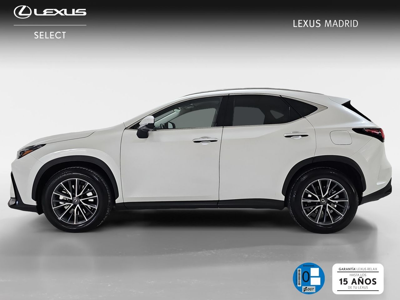 Foto del LEXUS NX 450h+ Premium+ 4WD