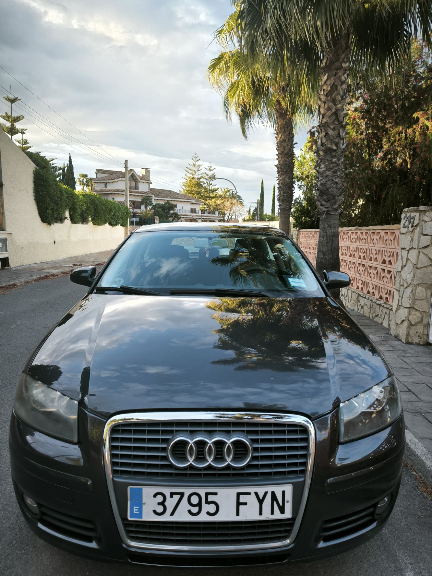 Foto del AUDI A3 1.9TDI Limited Edition