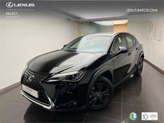 Imagen de LEXUS UX 250h Business 2WD