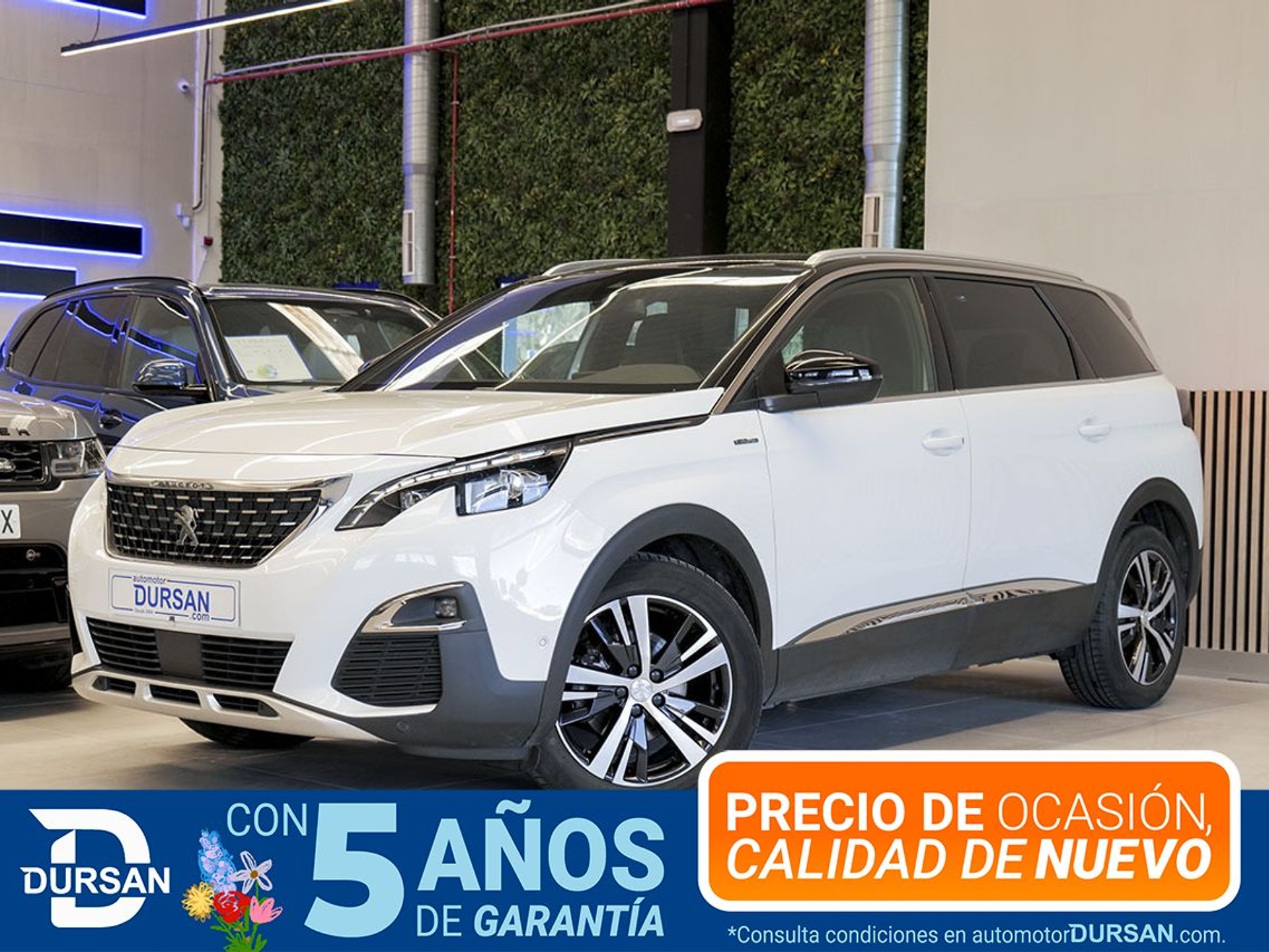 Imagen de PEUGEOT 5008 SUV
