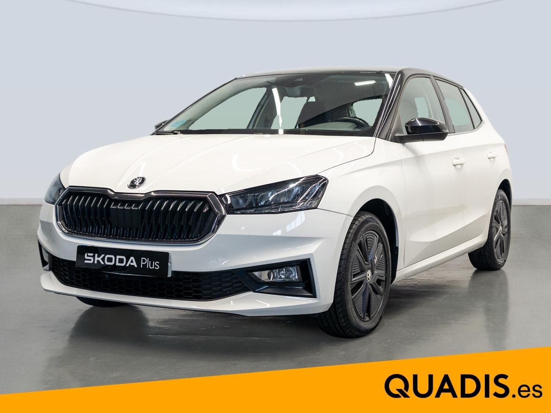 Imagen de SKODA Fabia