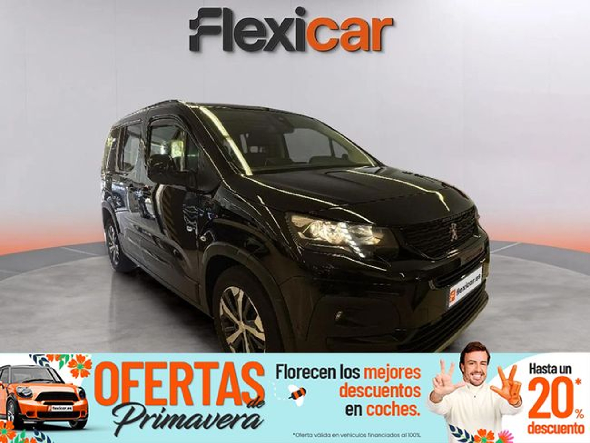 Imagen de PEUGEOT Rifter
