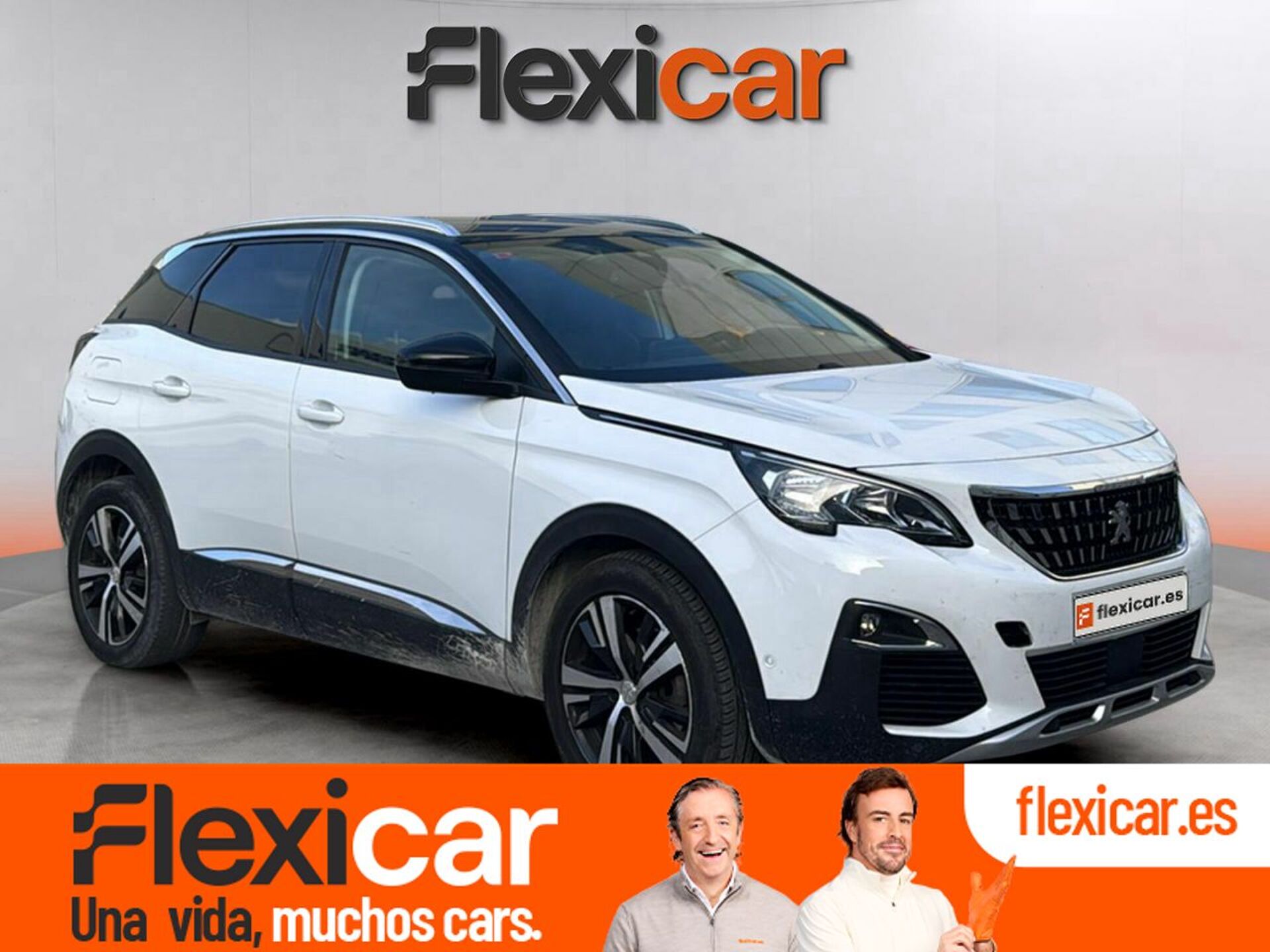 Imagen de PEUGEOT 3008