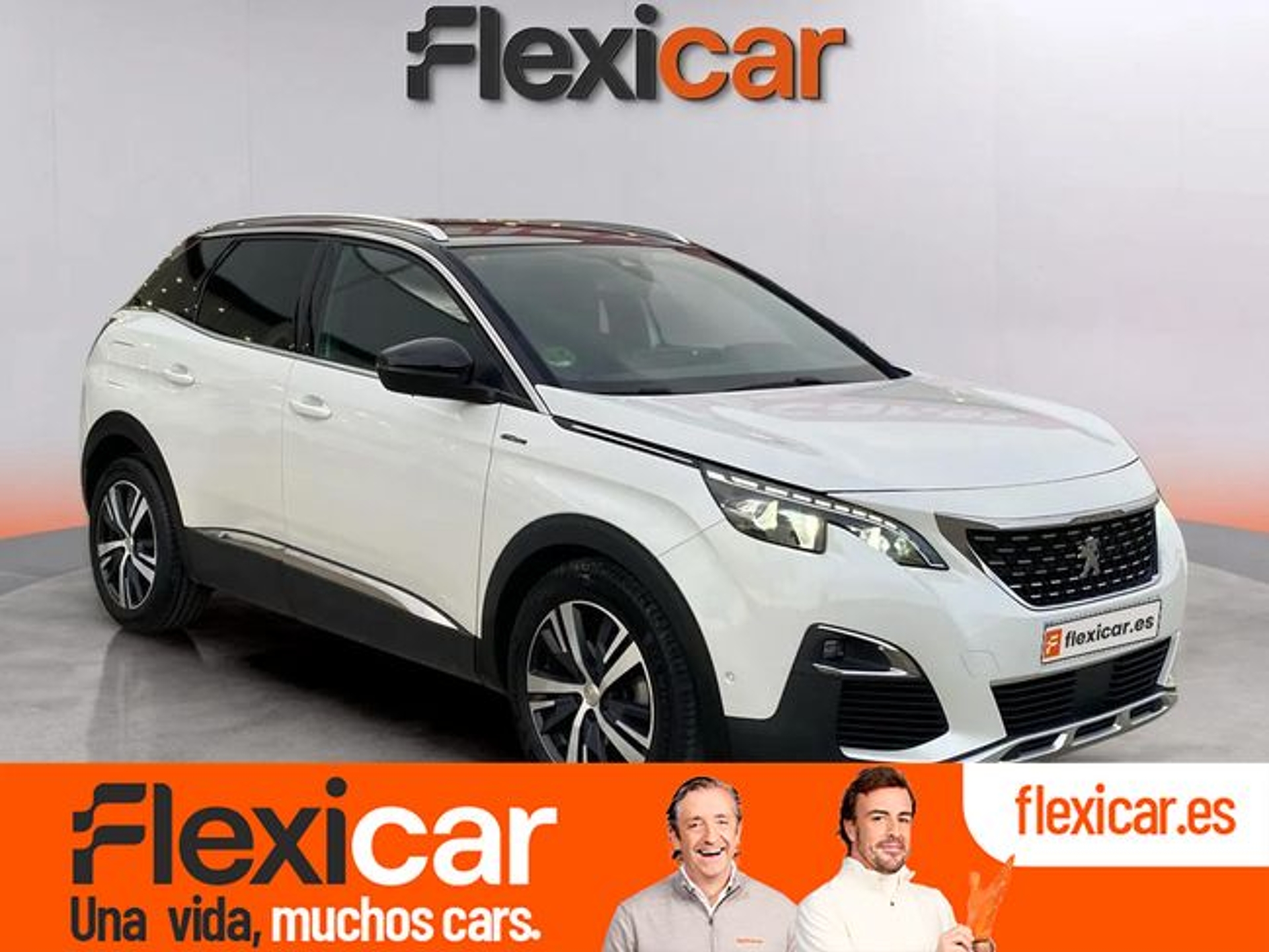 Imagen de PEUGEOT 3008