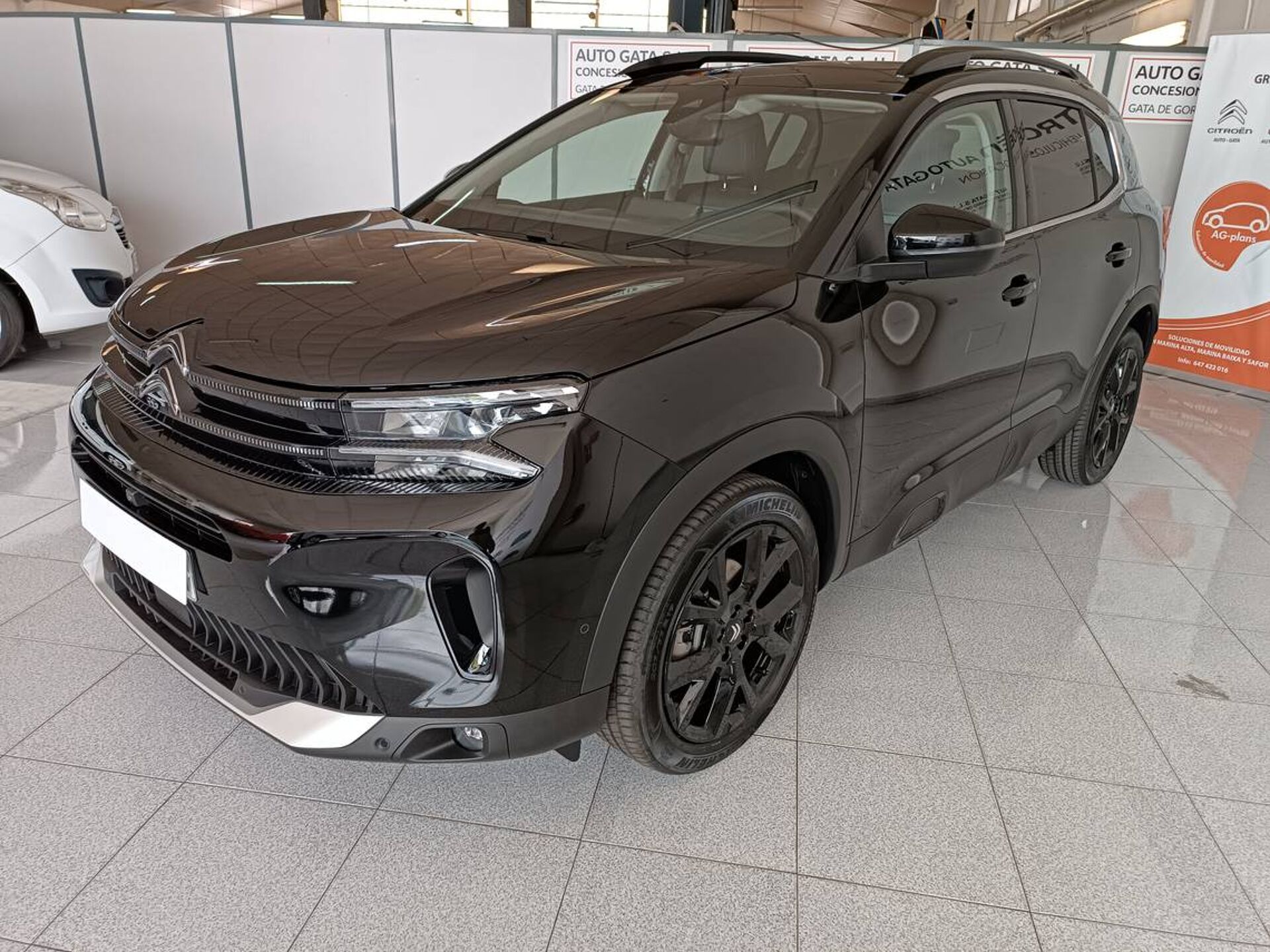 Imagen de CITROEN C5 Aircross