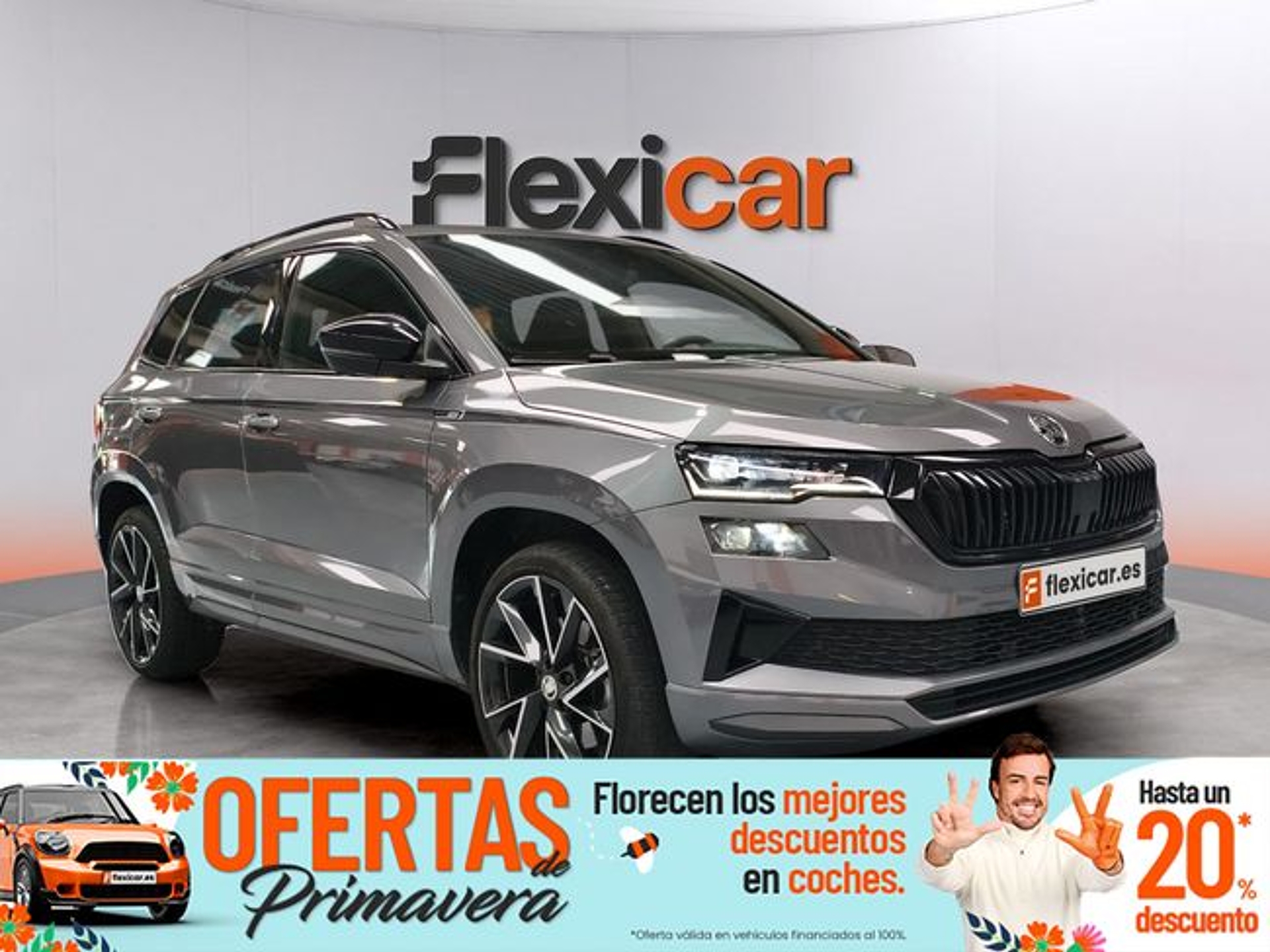 Imagen de SKODA Karoq