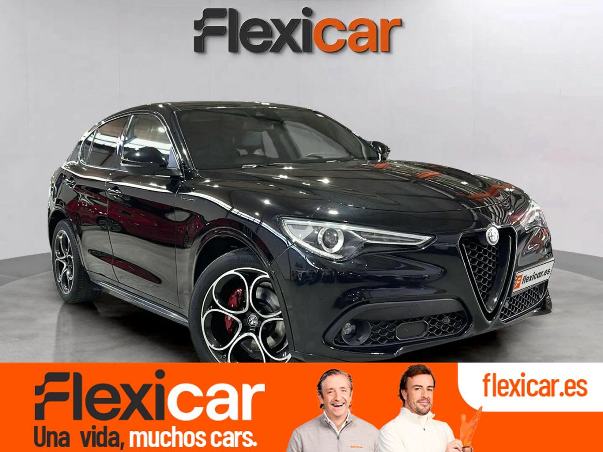Imagen de ALFA ROMEO Stelvio