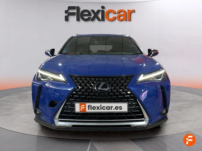 Foto del LEXUS UX 250h Business 4WD