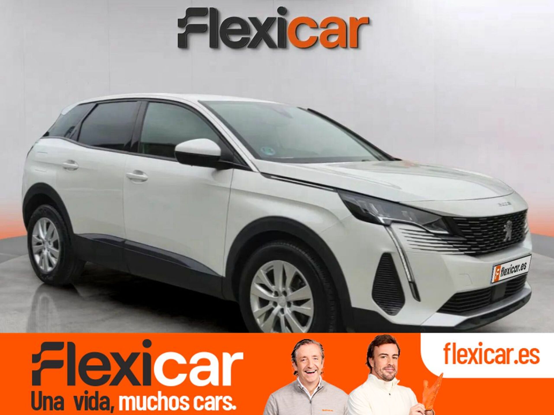 Imagen de PEUGEOT 3008