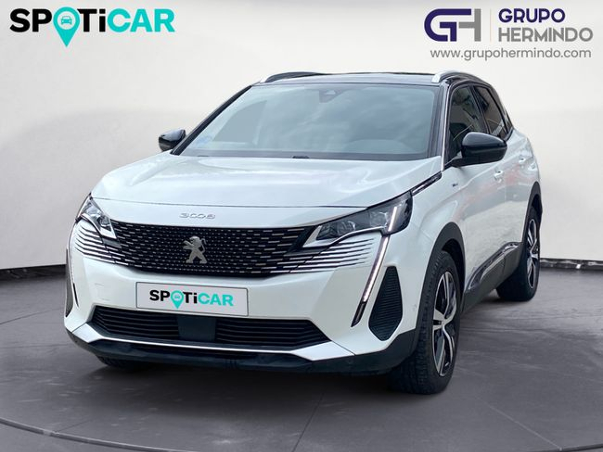 Imagen de PEUGEOT 3008