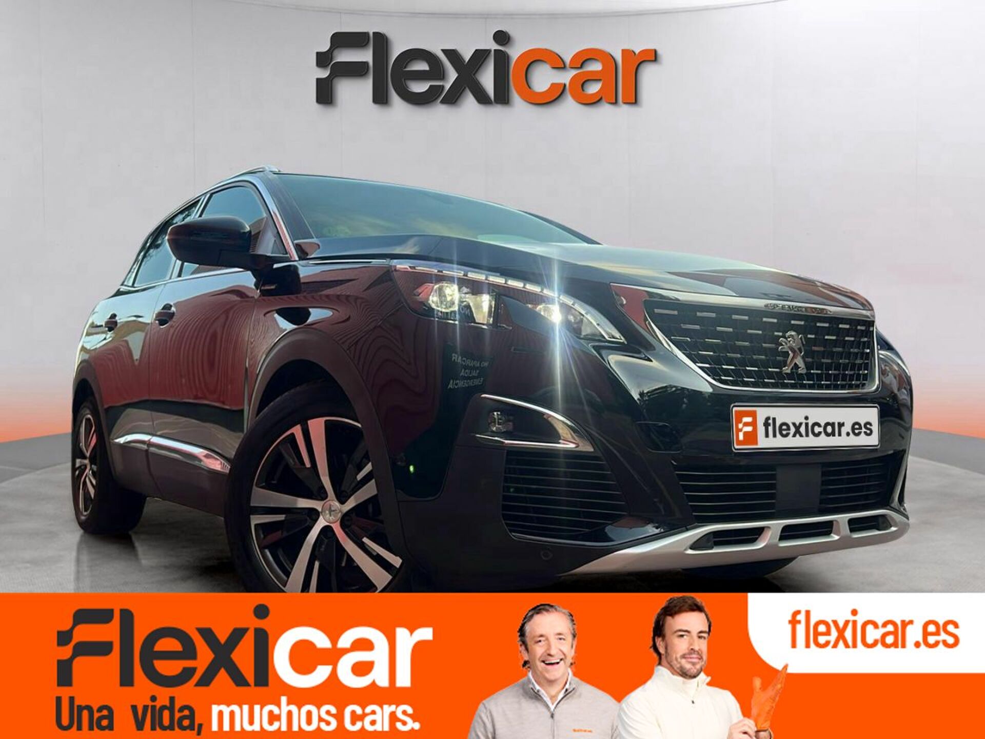 Imagen de PEUGEOT 3008