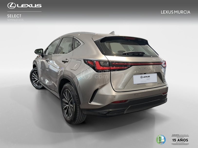 Foto del LEXUS NX 300h Business 2WD