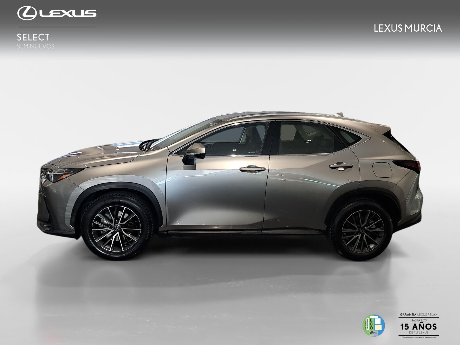 Foto del LEXUS NX 300h Business 2WD