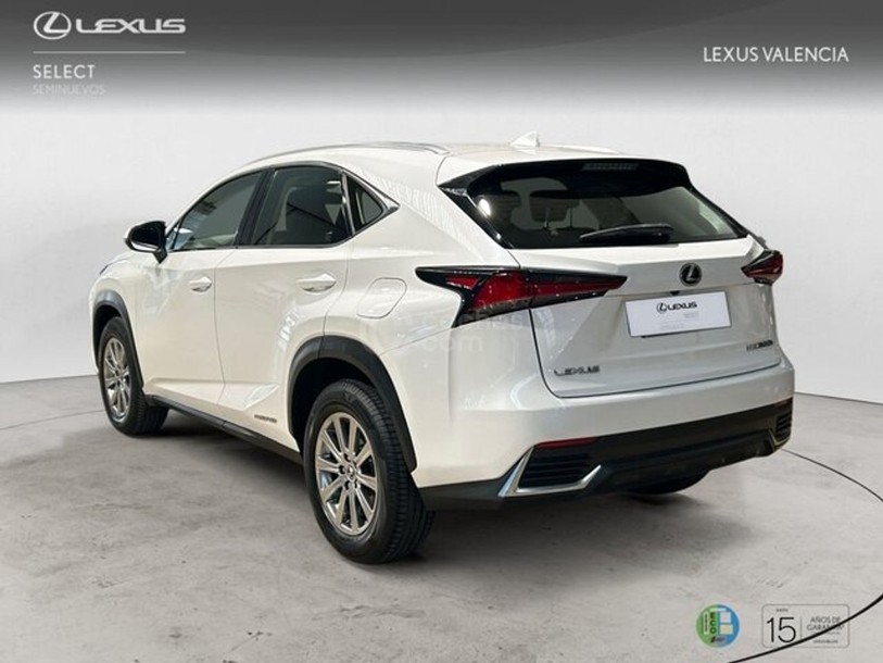Foto del LEXUS NX 300h Business 2WD