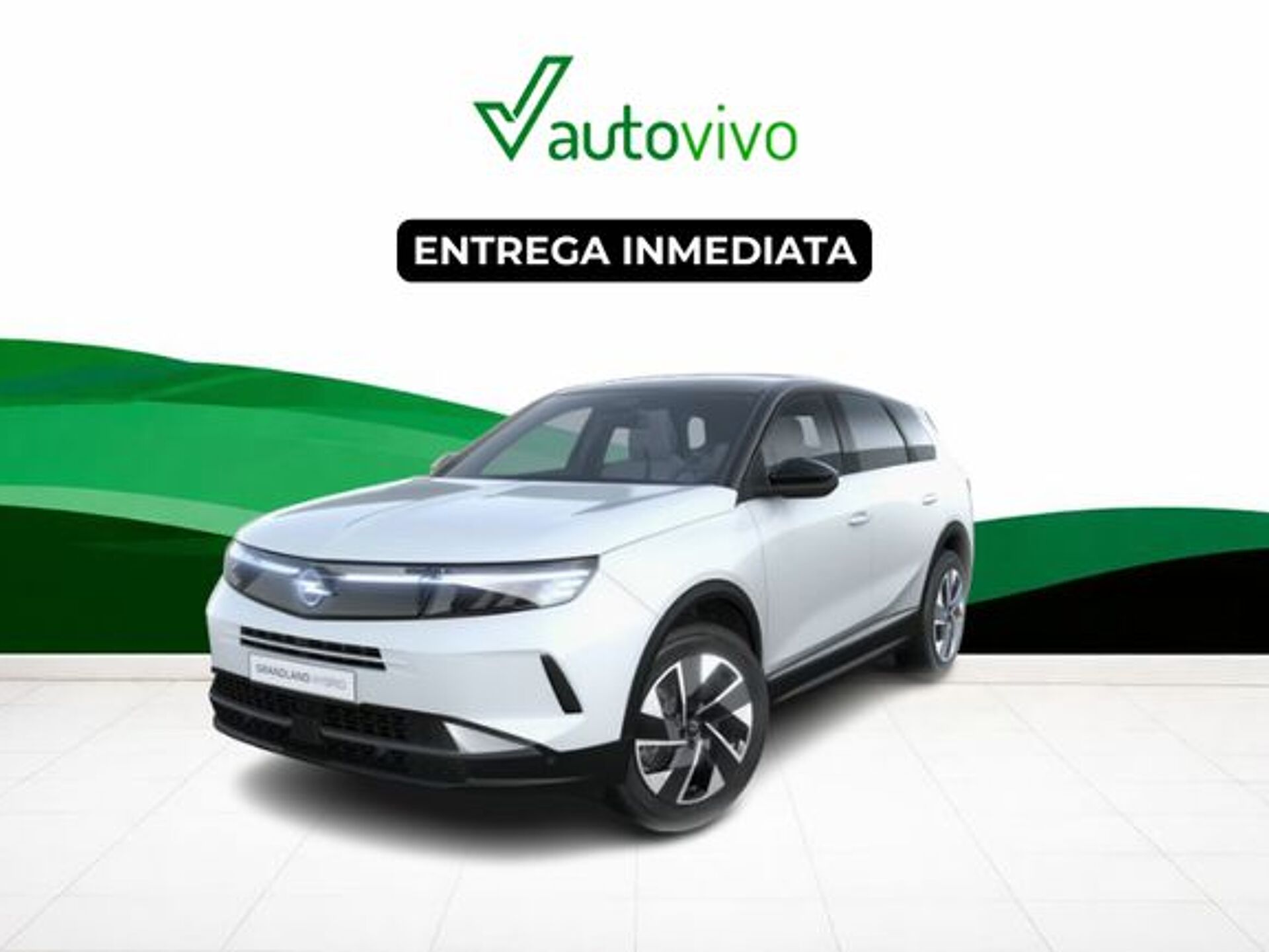 Imagen 3 de OPEL Grandland