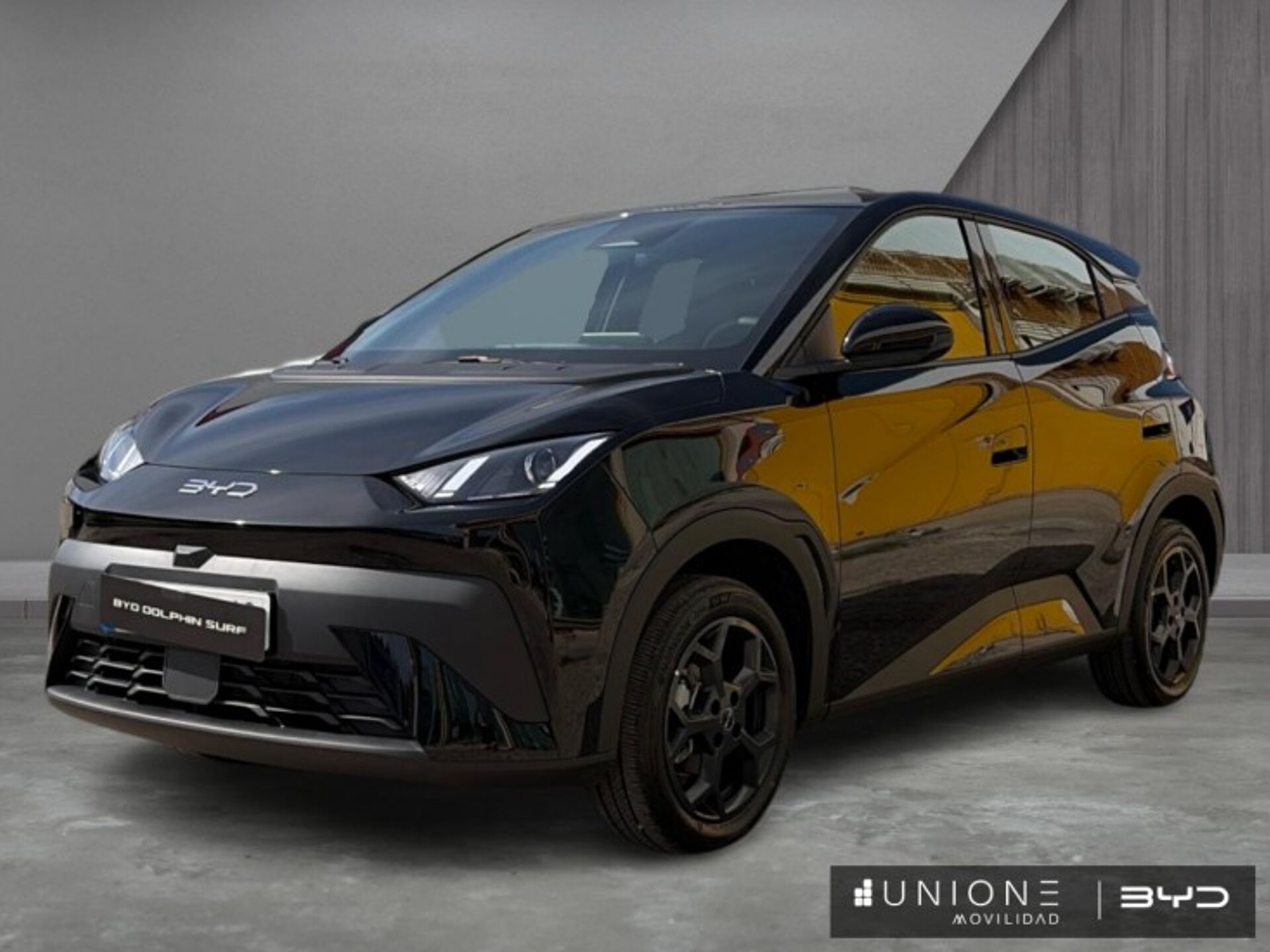 Imagen 1 de BYD Dolphin Surf