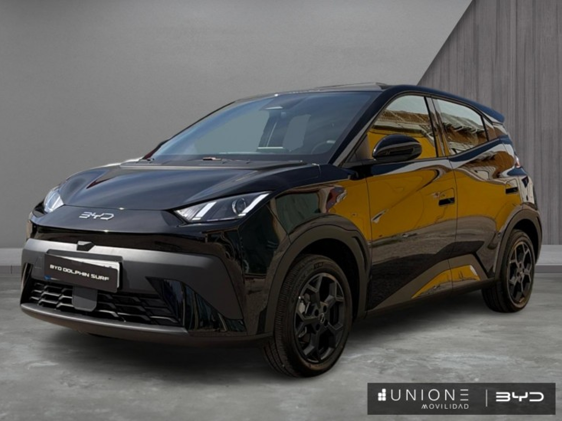 Imagen de BYD Dolphin Surf