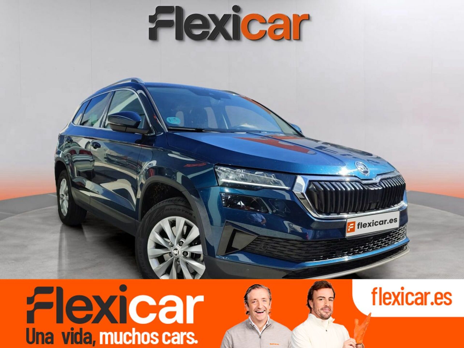 Imagen de SKODA Karoq