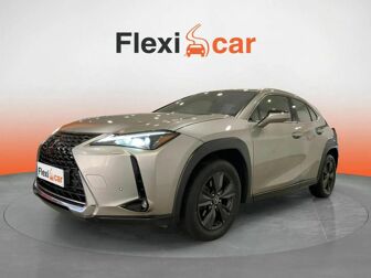 Imagen de LEXUS UX 250h Business 4WD