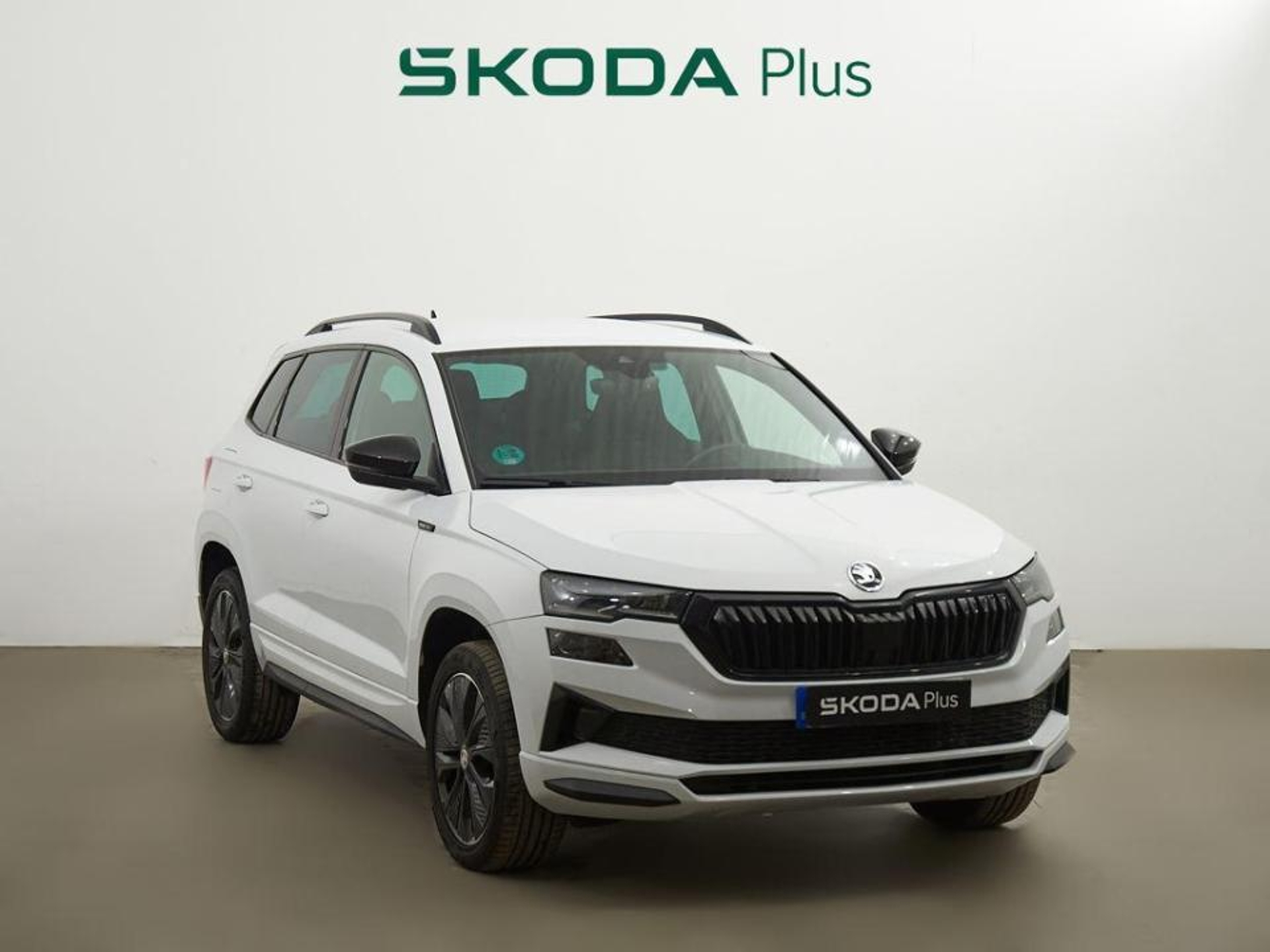 Imagen de SKODA Karoq