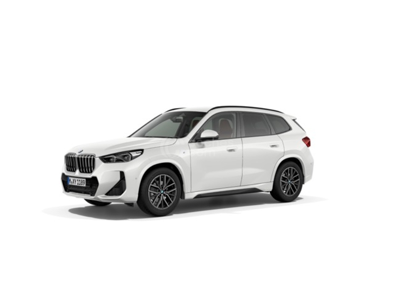 Foto del BMW X1 xDrive 20dA