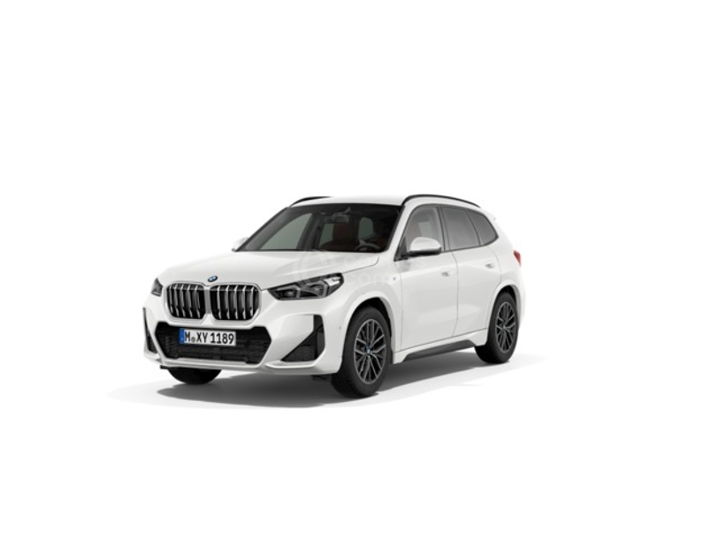 Foto del BMW X1 xDrive 20dA