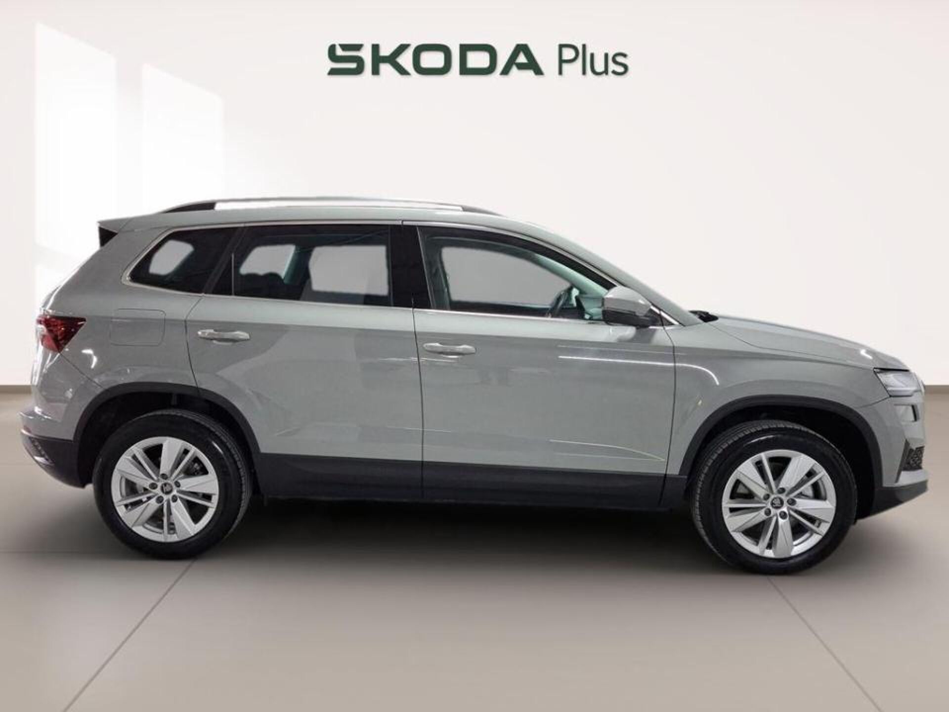 Imagen 3 de SKODA Karoq