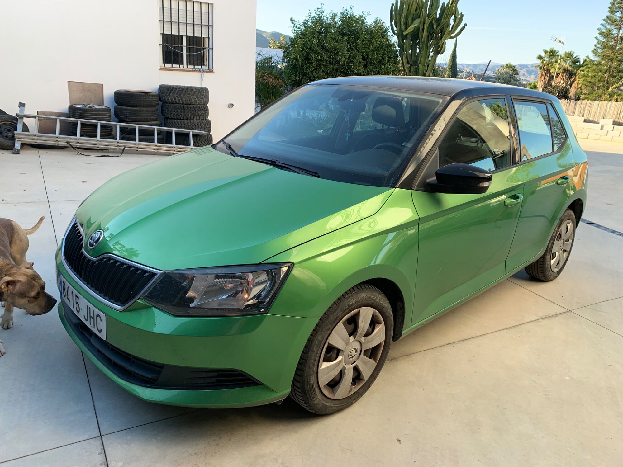 Foto del SKODA Fabia 1.0 MPI Ambition 55kW