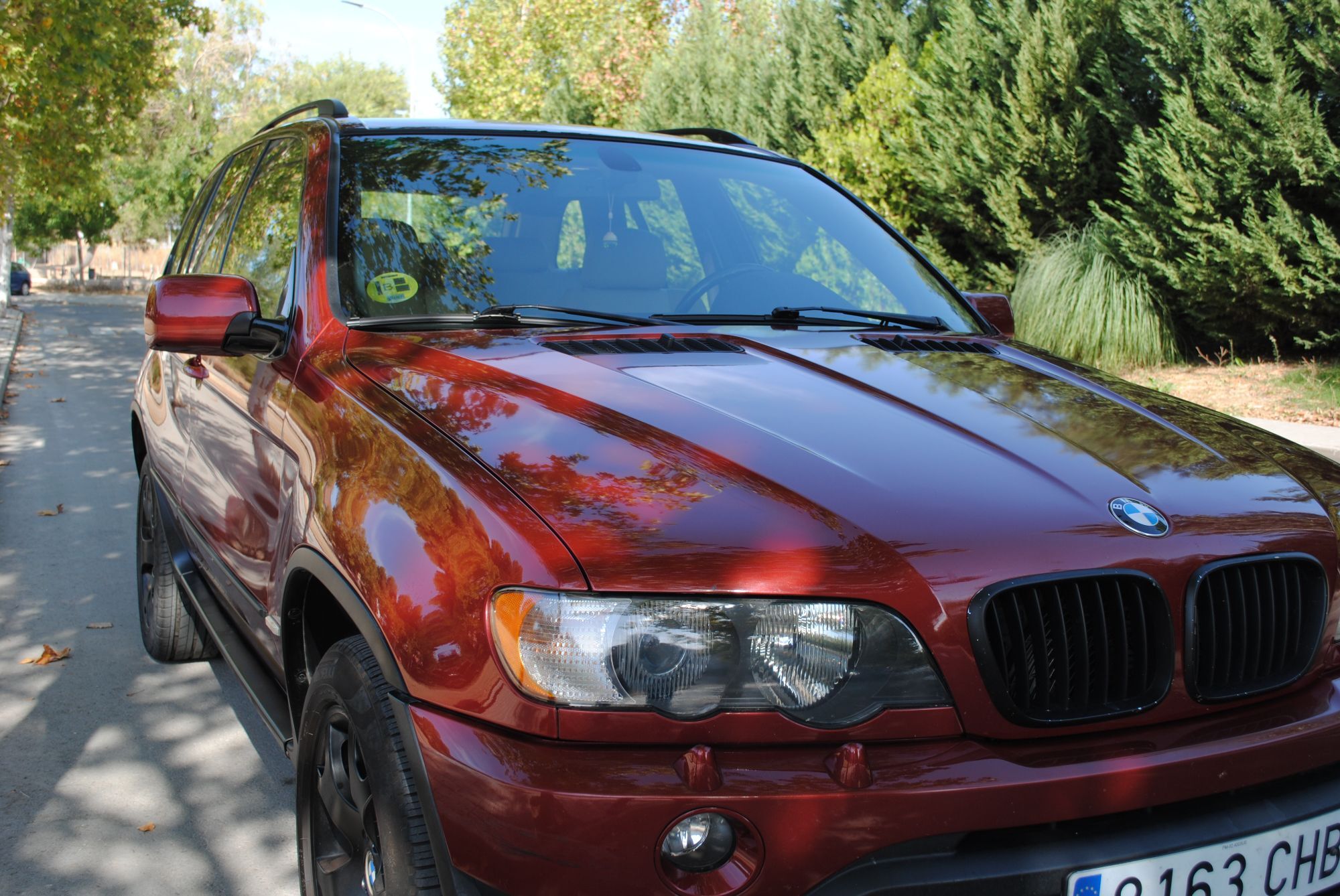 Foto del BMW X5 3.0i Aut.