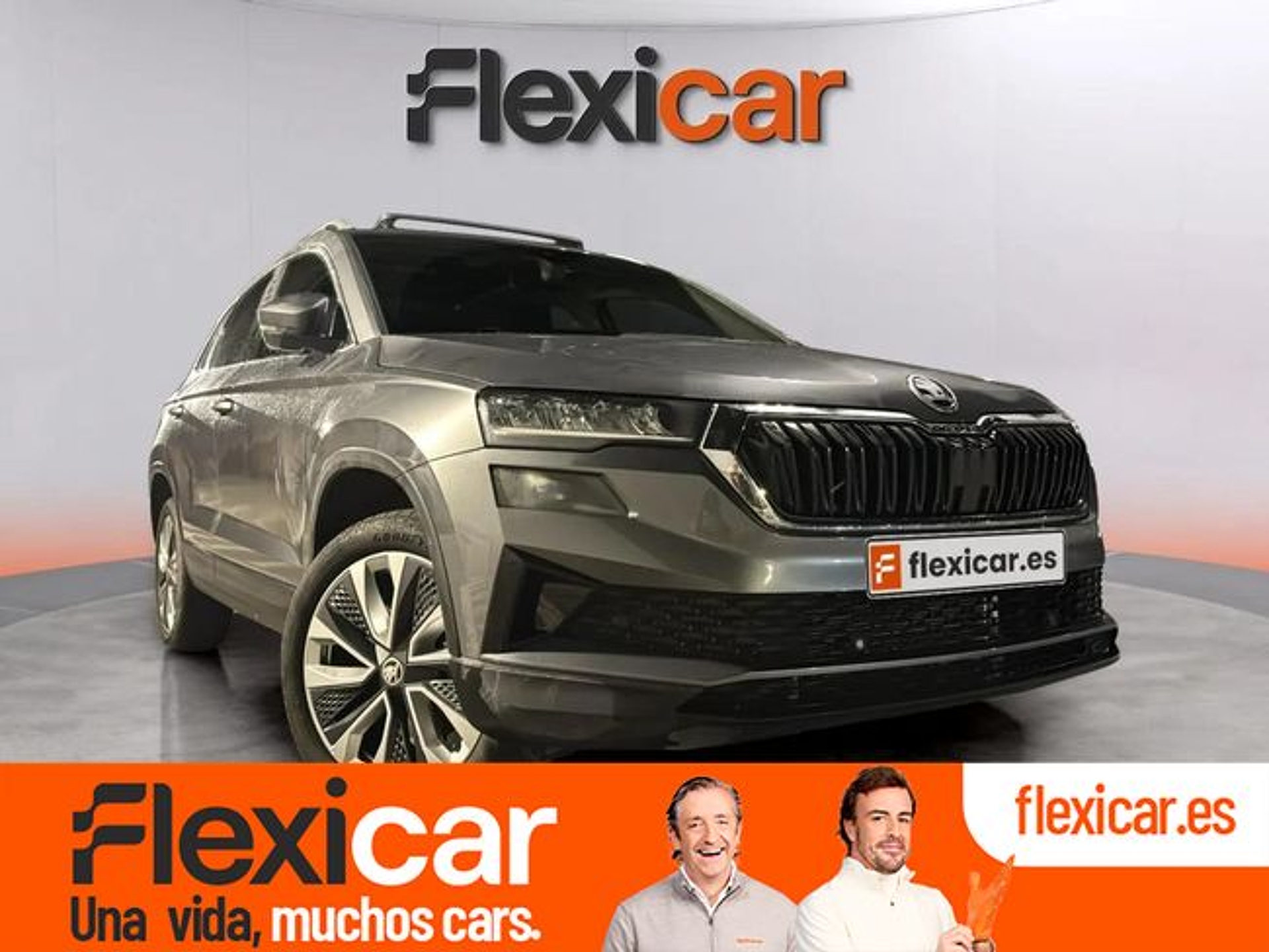 Imagen de SKODA Karoq