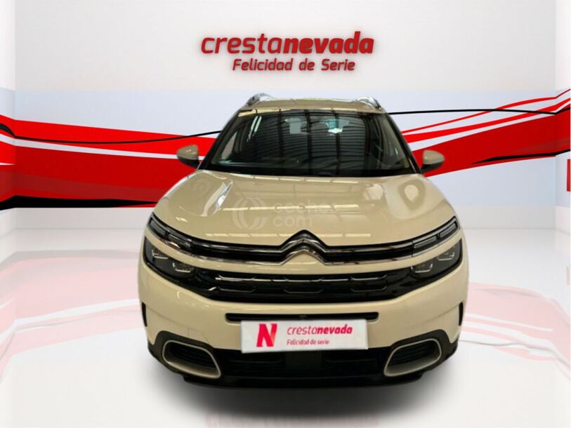 Foto del CITROEN C5 Aircross PureTech S&S Shine EAT8 180