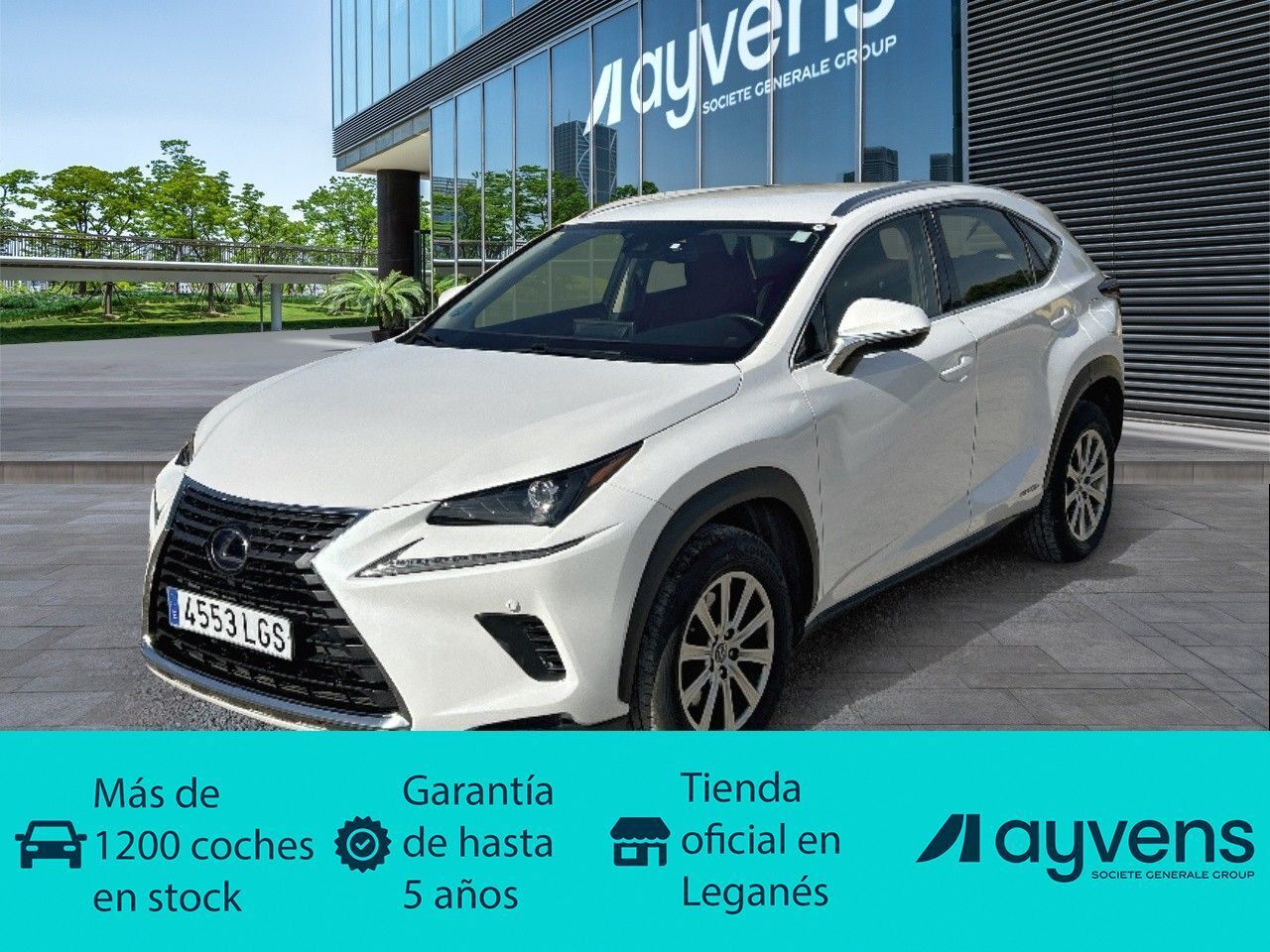 LEXUS NX (300h Business Navigation 2WD 145 kW (197 CV)) en Madrid