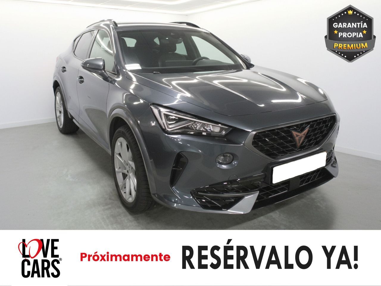 CUPRA Formentor (1.4 e-Hybrid 150kW (204 CV) DSG) en Pontevedra