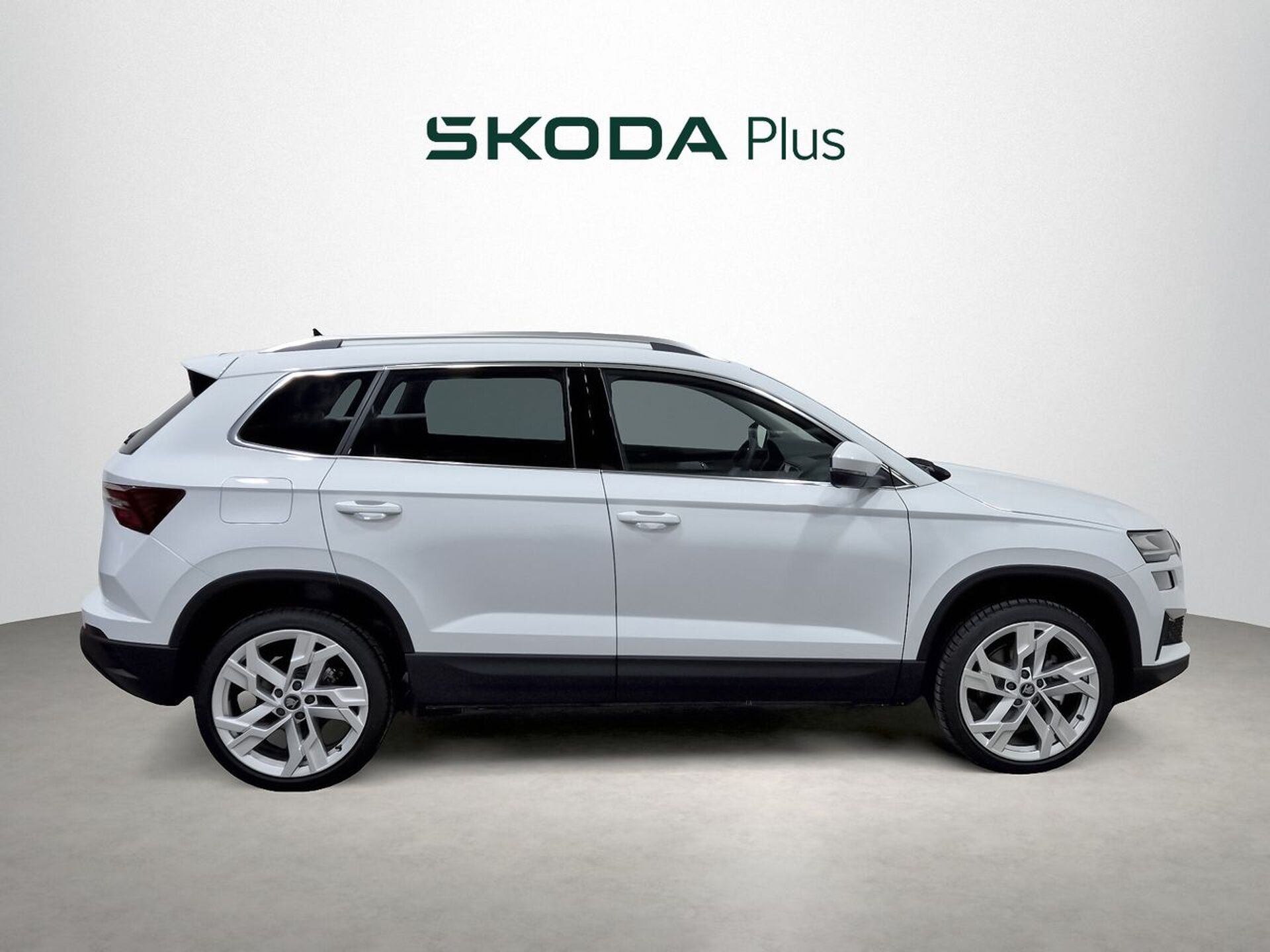 Imagen 3 de SKODA Karoq