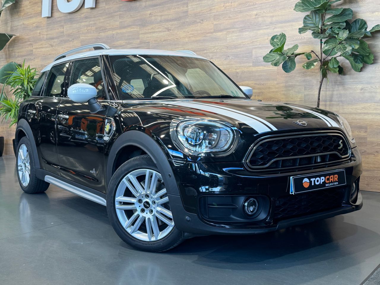 MINI Mini Countryman (COOPER SE ALL 4) en Vizcaya