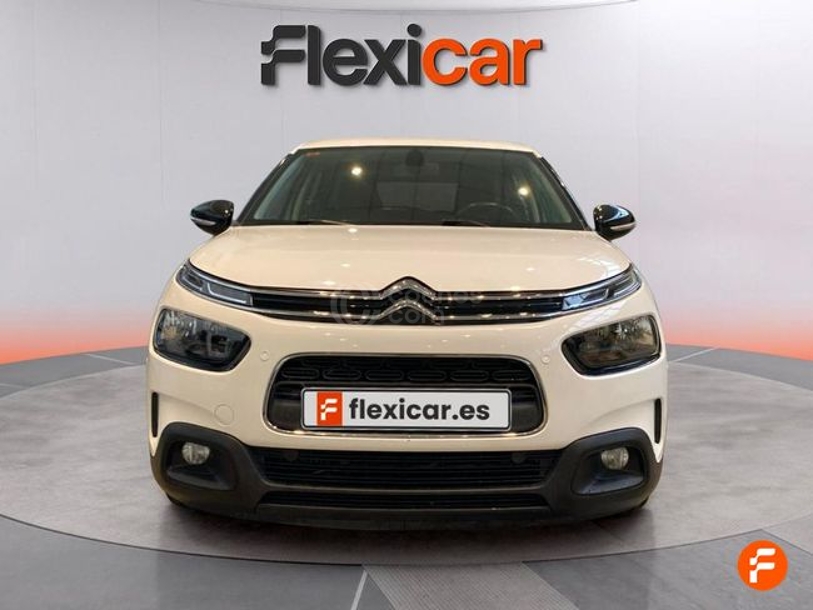 Foto del CITROEN C4 Cactus 1.5BlueHDi S&S Shine 100