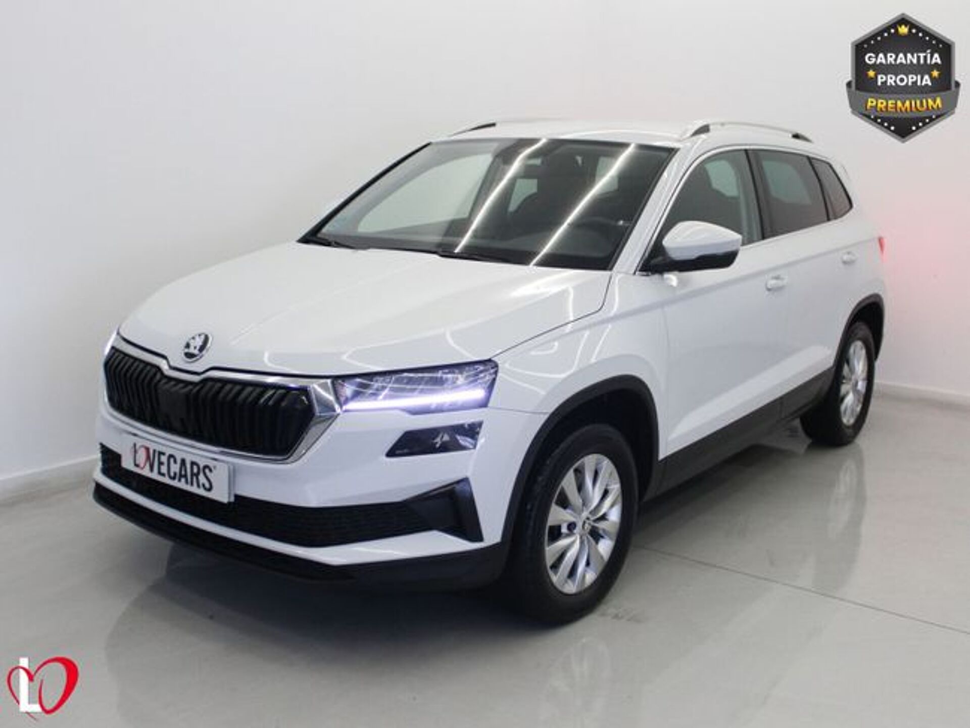 Imagen 3 de SKODA Karoq