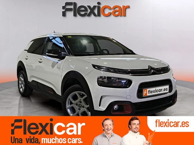 CITROEN C4 Cactus (PureTech 110 S&S Shine) en Lleida