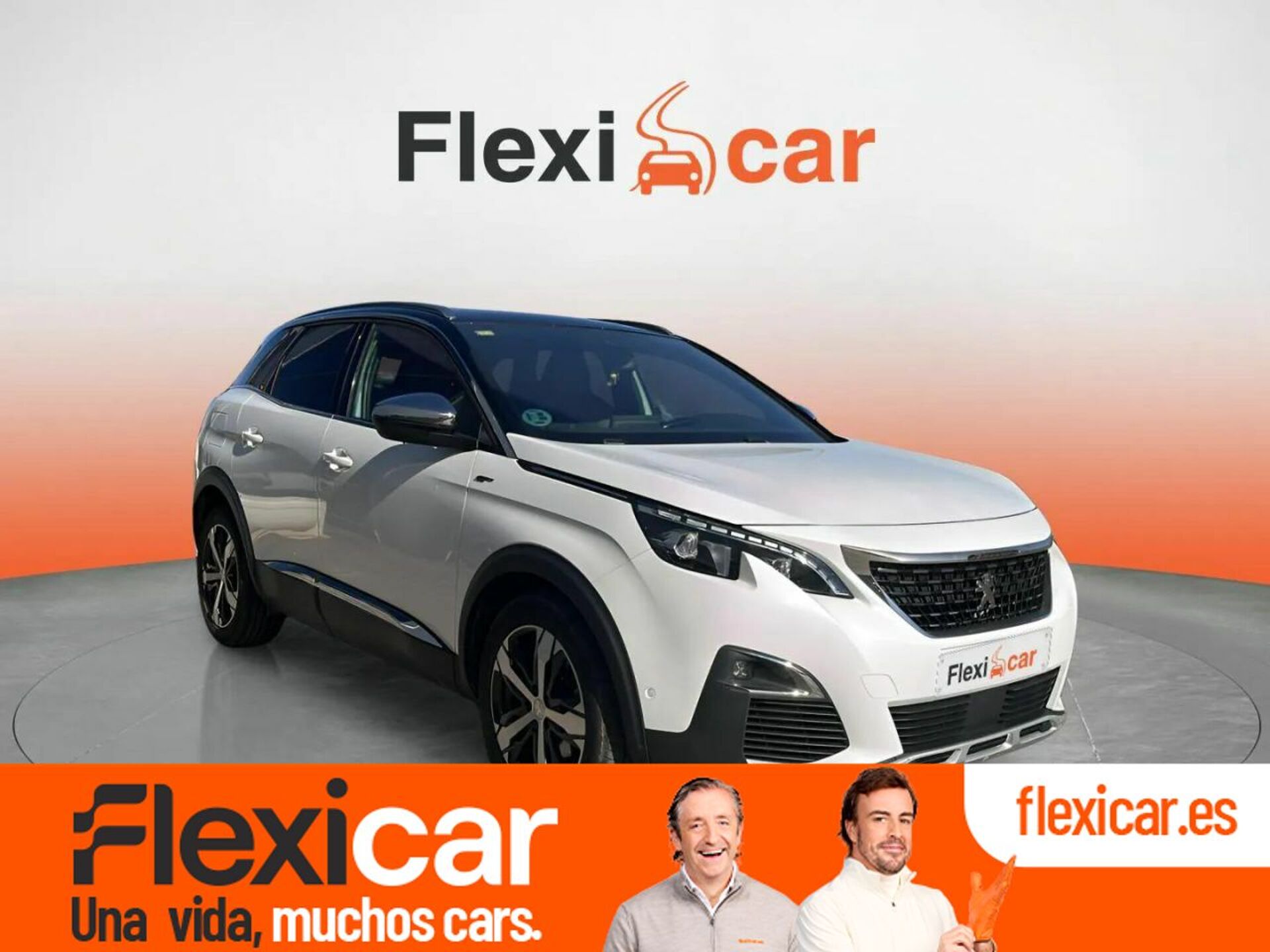 Imagen de PEUGEOT 3008
