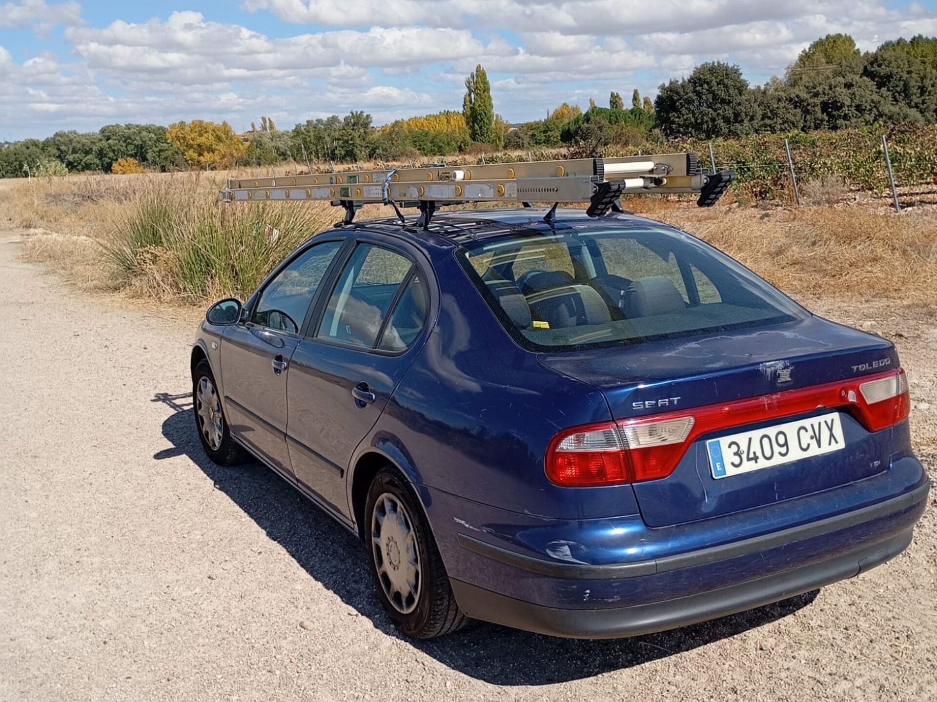 Imagen 2 de SEAT Toledo