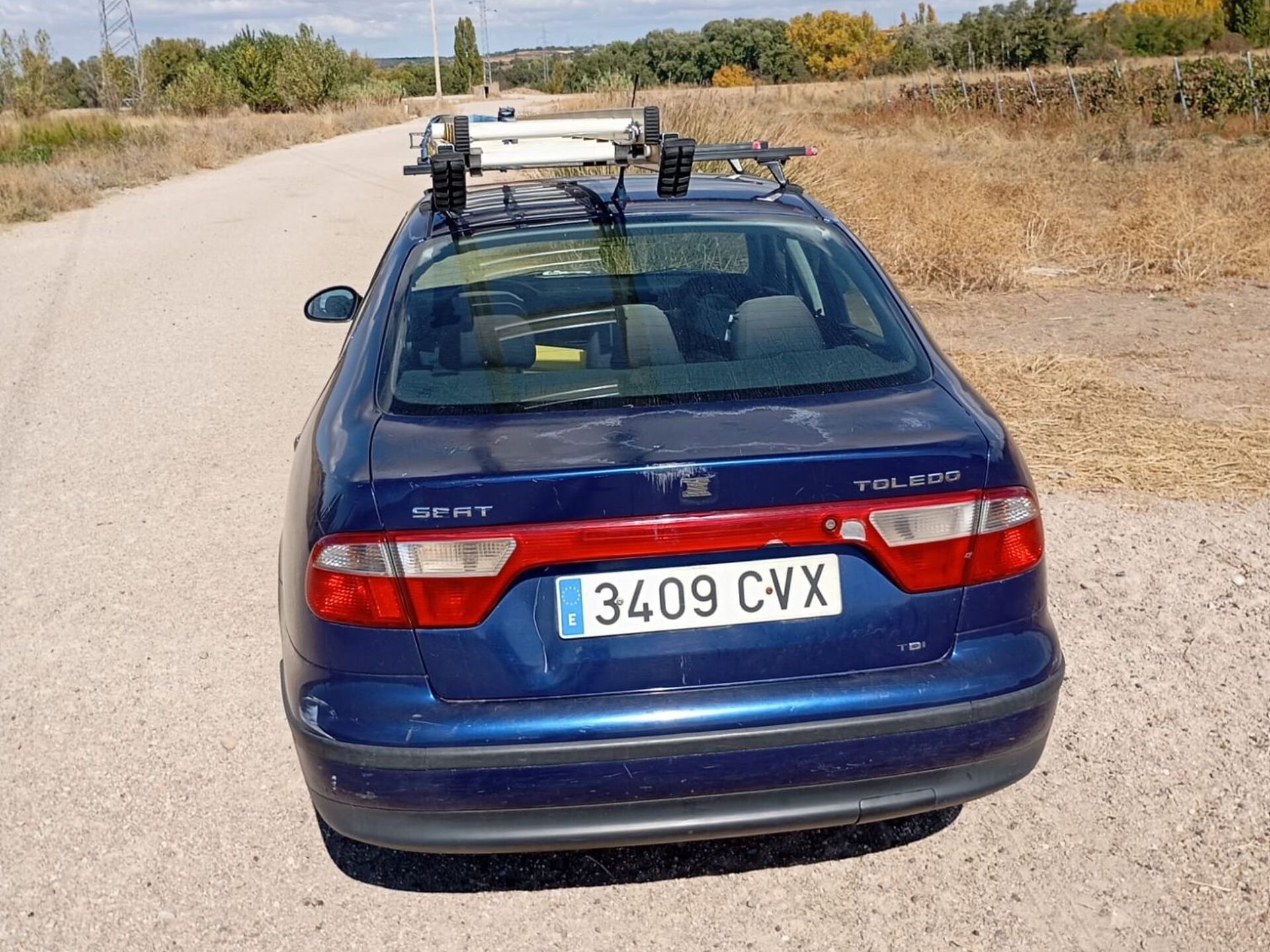 Imagen 3 de SEAT Toledo