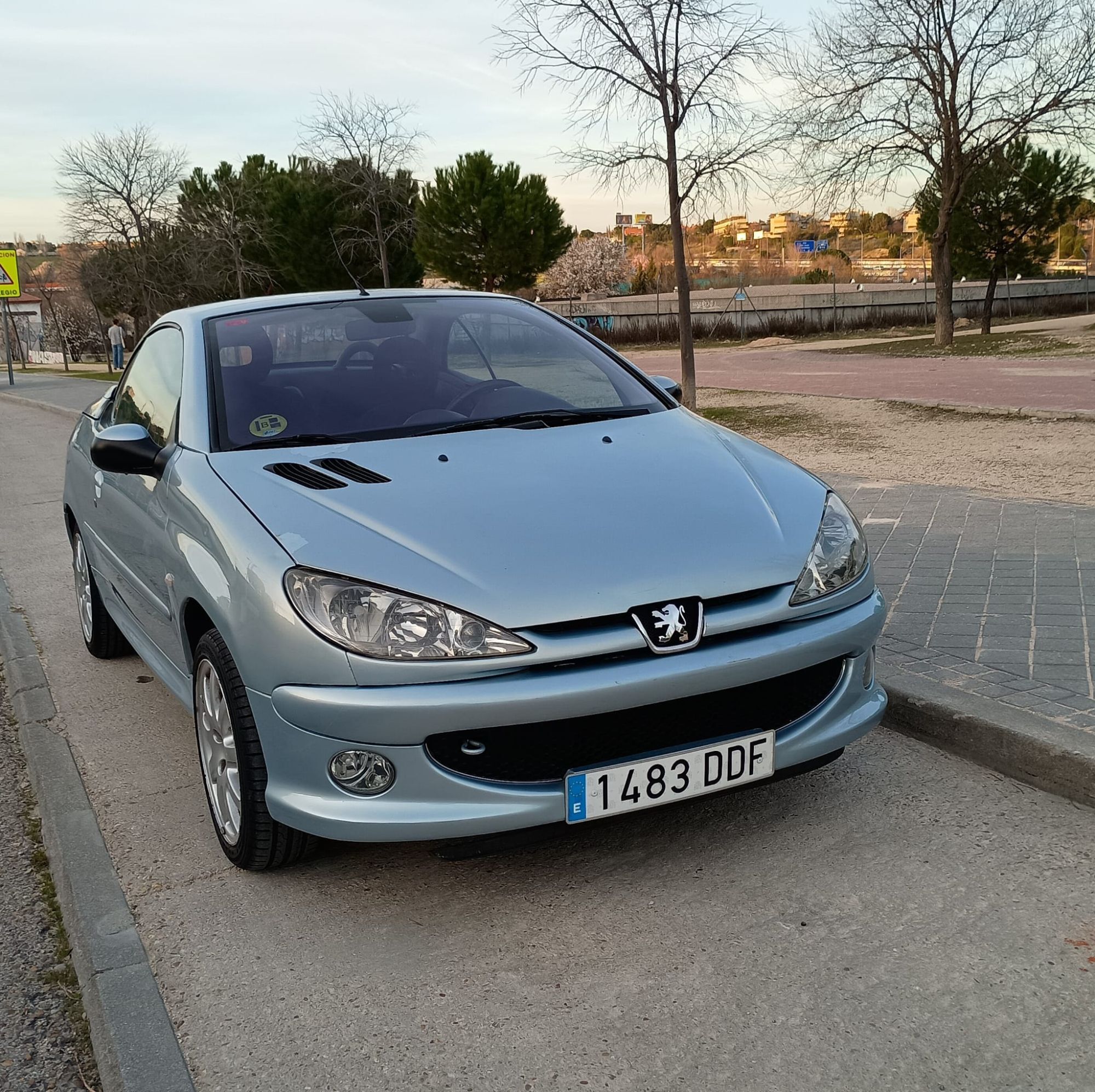 Foto del PEUGEOT 206 CC 2.0
